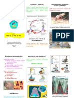 Leaflet Malaria pdf