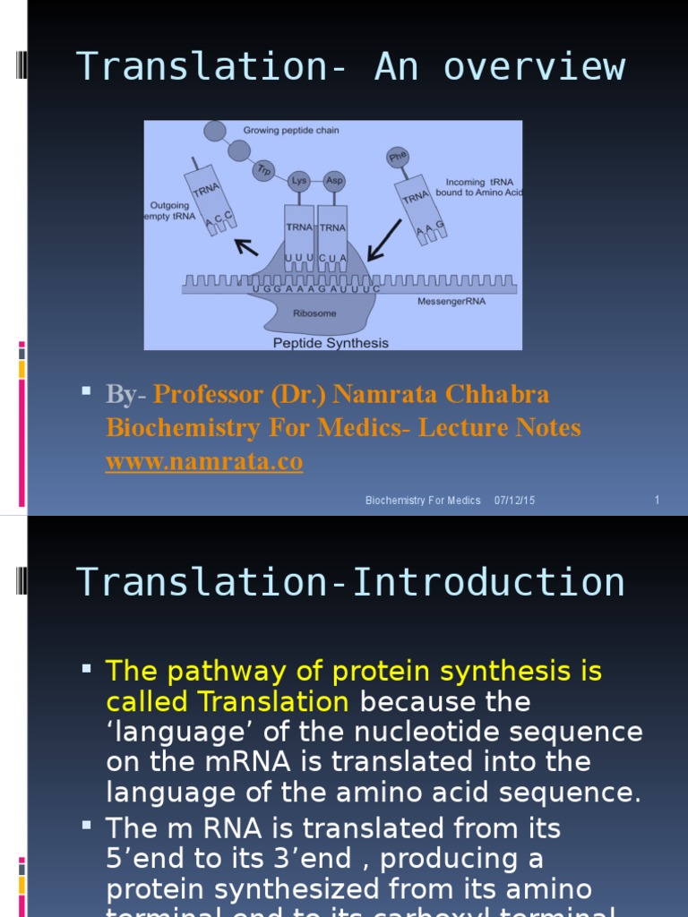 Overview of Translation in Biochemistry | PDF | Translation (Biology ...