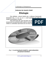 Intestin_iritabil_etiopatogeneza