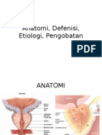 Anatomi, Defenisi, Etiologi, Pengobamlko Kp8uy7uytan