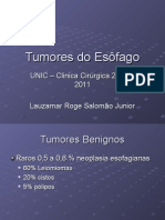 Tumores Do Esc3b4fago2