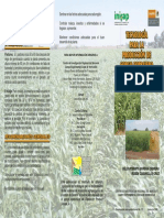 Tecnologia para La Produccion de Sorgo Forrajero PDF