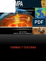 Formas y Texturas (alteraciones, skarnificaci+¦n, metasom+íticos)