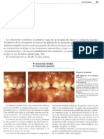 Anamnesis y Examen Clínico en Ortodoncia