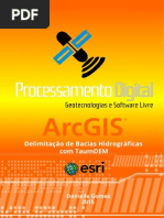 ArcGIS_delimitacao_bacia_hidrografica.pdf