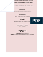 Tema 11