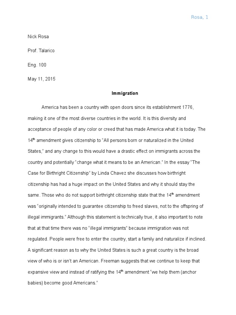 Immigration essay pdf picture