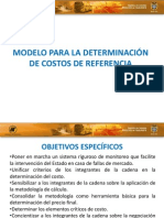 Modelo para La Determinacin de Referencia PDF