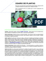30-02-Glosario-de-plantas-www.gftaognosticaespiritual.org_.pdf