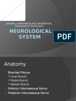 Neuro Overview