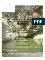 Informe Los Humedales de Mayascón