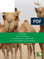 Guidelines For The Training of Veterinary Professionals On Camel Health and Diseases