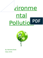Environmental Pollution.docx