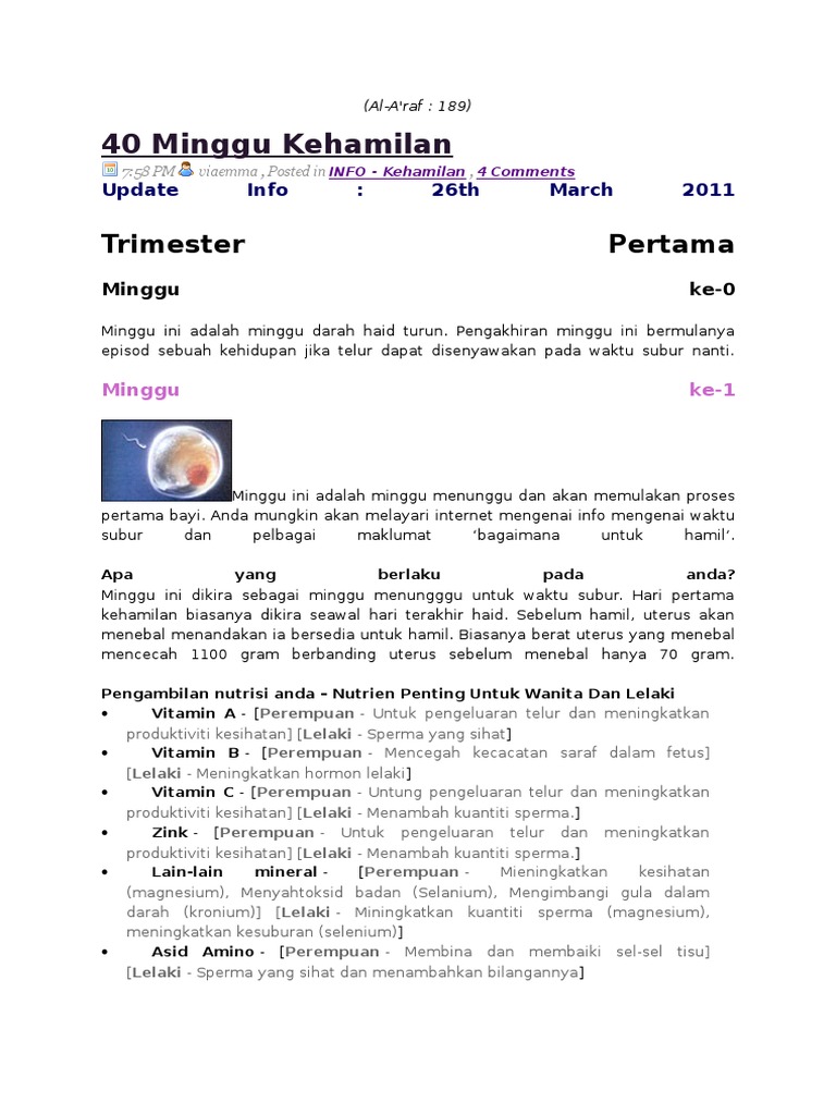 Kelahiran Bayi Pdf
