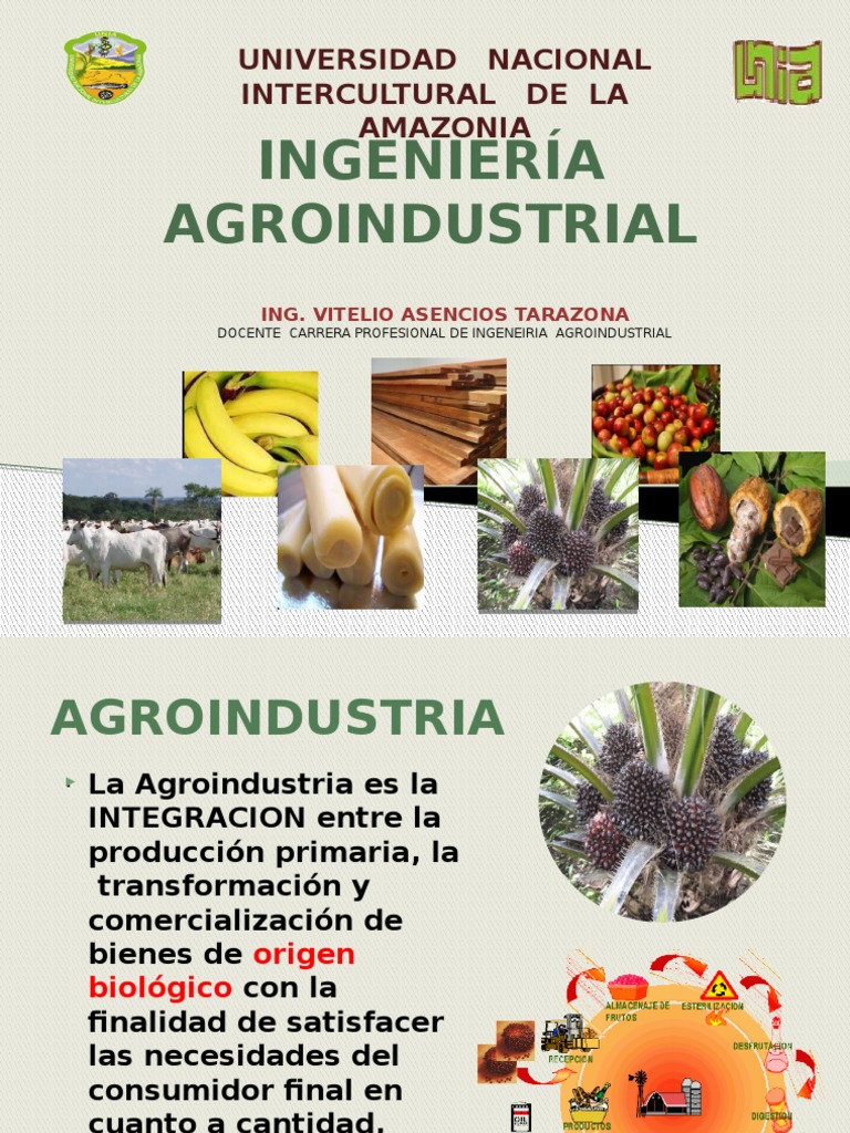 Ingeniería Agroindustrial Ok PDF Agronegocios Ingeniería