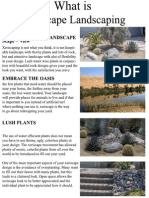 What Is Xeriscape Landscaping