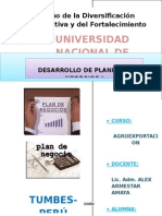 Desarrollo de Plan de Negocios I