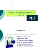 Auditorias de Sistemas Integrados de Gestion