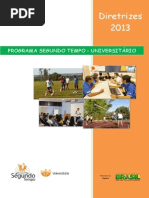 Diretrizes PST Universitário2014