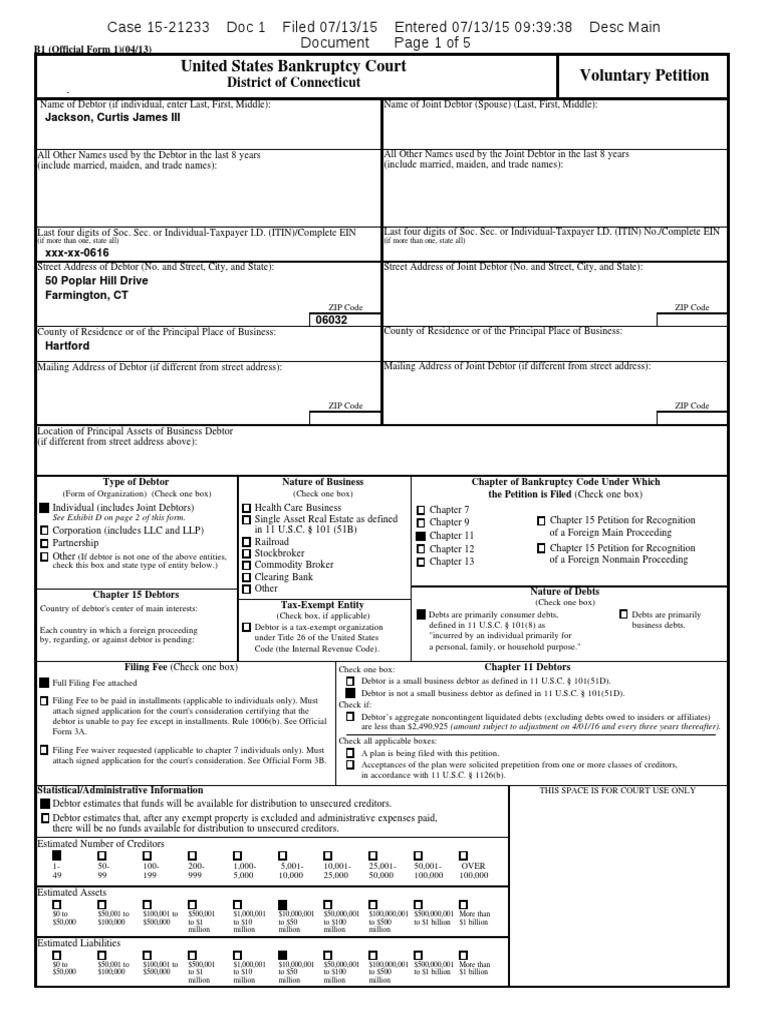 Voluntary Bankruptcy Petition Form | PDF | Chapter 7 | Bankruptcy
