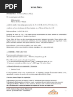 Apostila homilética.pdf