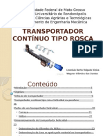 Apresentaotransportadorescontinuostiporosca 111025170131 Phpapp02 (1)