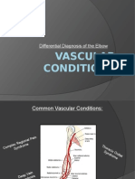 vascular ppt