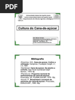 Cana Primeira Aula I