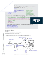 Sympathetics 07 a Study Guidepdf