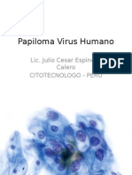 Virus del Papiloma Humano.pptx