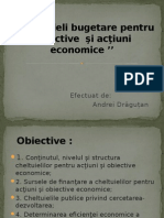 Cheltuieli Bugetare Pentru Obiective Şi Acţiuni Economice.