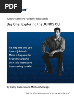 Juniper Fundamental 