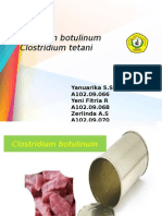 Presentasi Clostridium SP