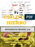 Ciclos Del Hierro