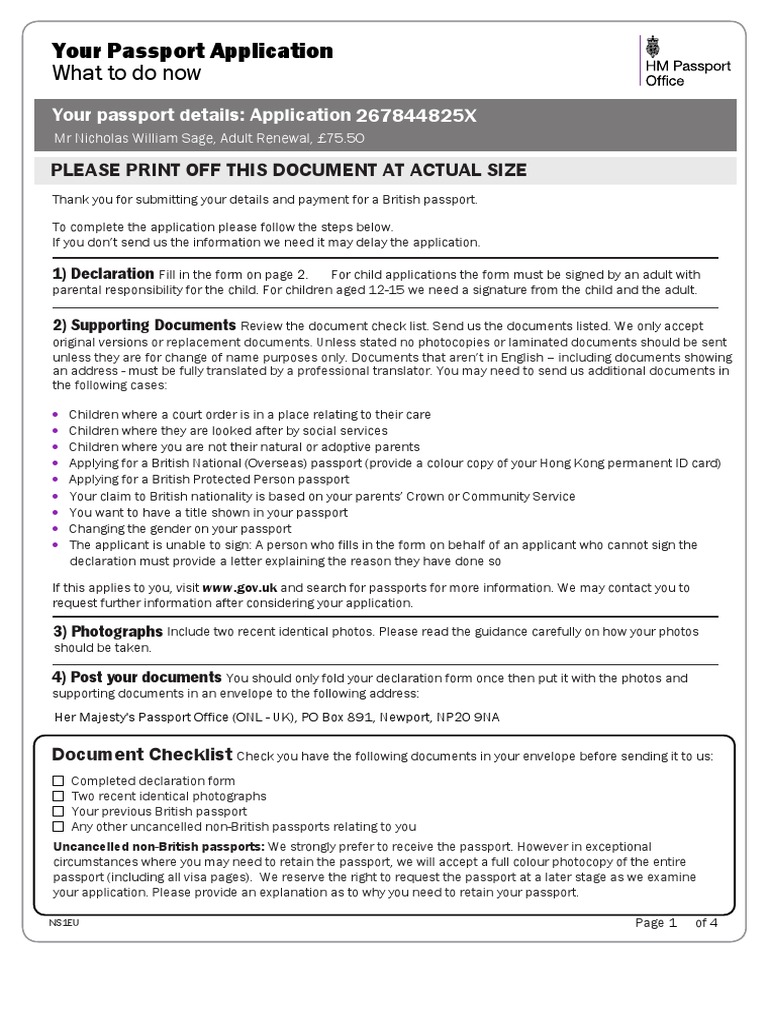 British Passport Application Guide | PDF | Passport | Photograph
