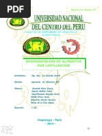 INGENIERIA DE ALIMENTOS III-trabajo.doc