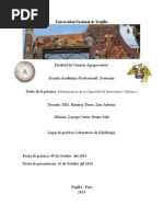 Determinacion de La CIC - Bruno Loyaga Cortez