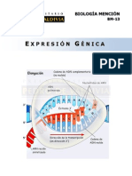 Guía de Biología Pedro Valdivia 