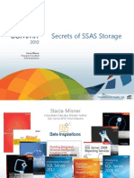 [BIA 300 HD] SecretsSSASStorage Misner