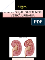 Tumor Ginjal Dan Tumor Vesika Urinaria