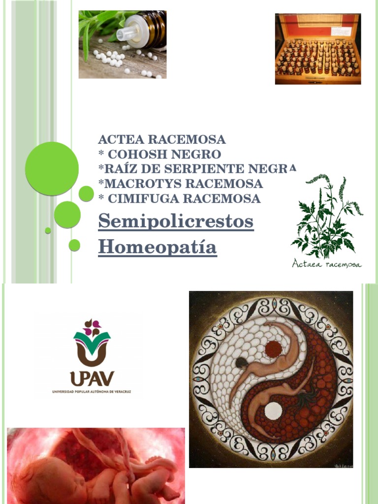 Actea Racemosa | Descargar gratis PDF | Menstruación | Parto