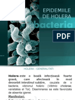 Epidemiile de Holera