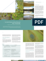 Casanare1 PDF