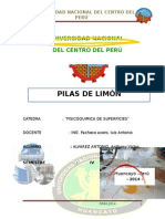 Informe Pila de Limon