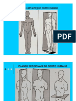 2010.02.10.aula2.fatec - Anatomia.planos e Regiões Do Corpo Humano
