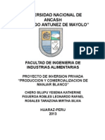 PROYECTO DE INVERSION- INDUSTRIAS LACTEAS 2012-II..docx
