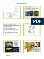 Familias Formulas Florales PDF