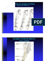 2010.02.17.AULA7.8.FATEC.ANATOMIA RADIOLÓGICA DO MEMBRO SUPERIOR