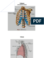 2010.03.10.AULA23.24.ANATOMIA RADIOLÓGICA DO TÓRAX