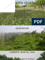 Cubierta Vegetal